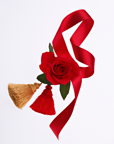 柴原　薫のプレスリリース画像1