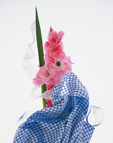 柴原　薫のプレスリリース画像4