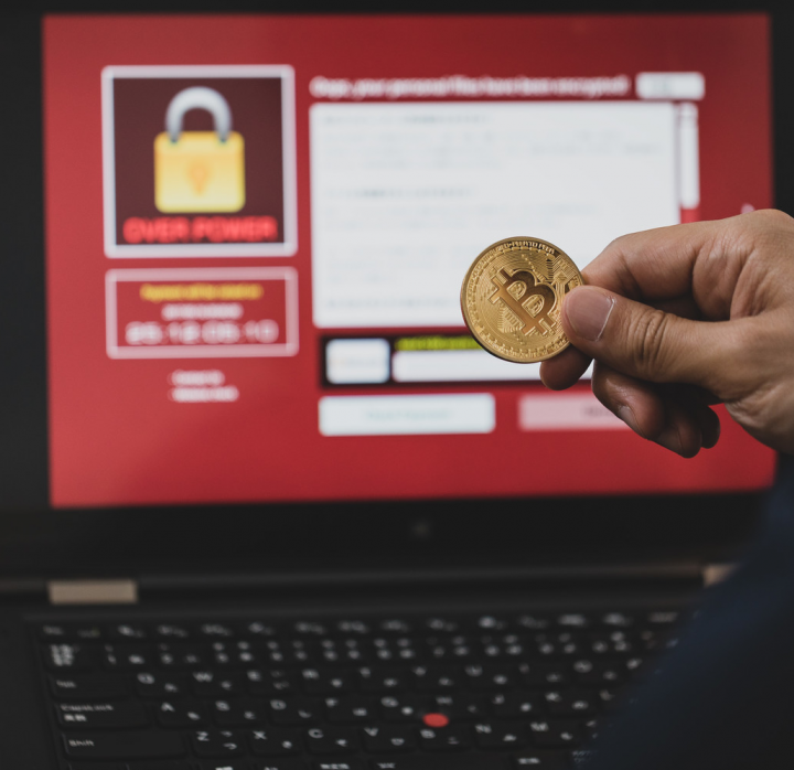 Ａ１データ株式会社のプレスリリース画像2