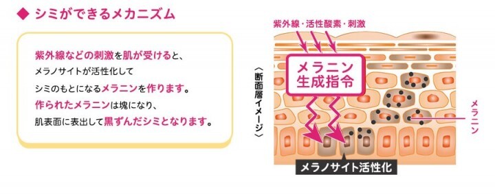 森永製菓株式会社のプレスリリース画像3