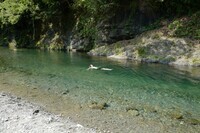 株式会社グランデのプレスリリース画像3