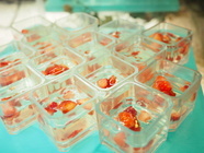 ニラックス株式会社のプレスリリース画像5