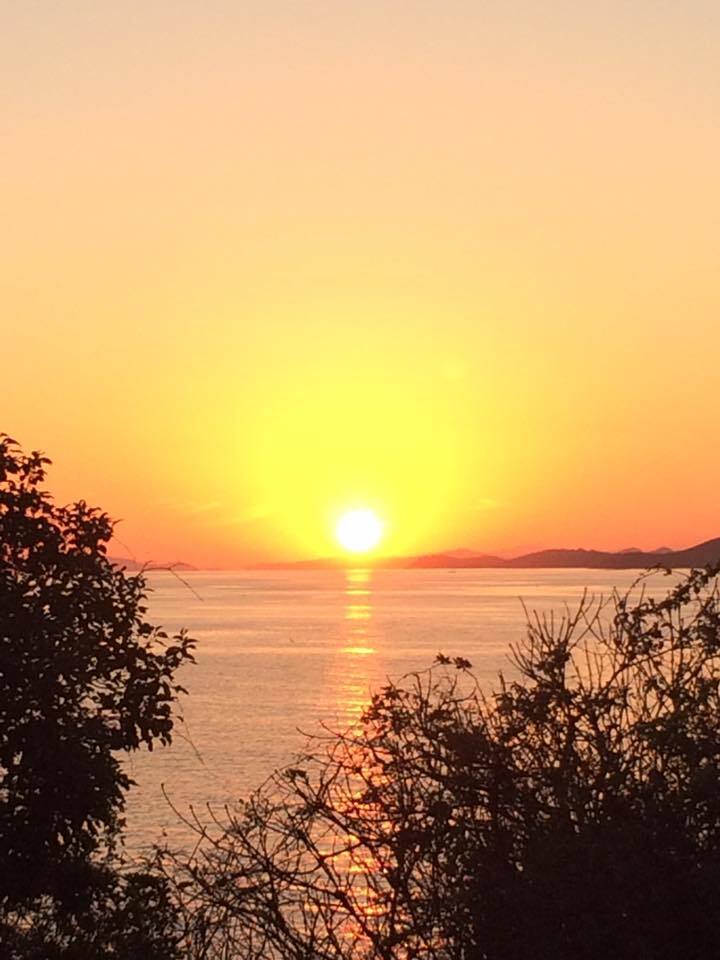 灯台が丘プロジェクトチームのプレスリリース画像2