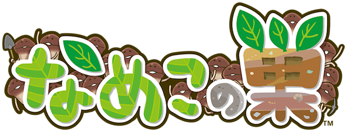 株式会社ビーワークスのプレスリリース画像2