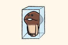 株式会社ビーワークスのプレスリリース画像7