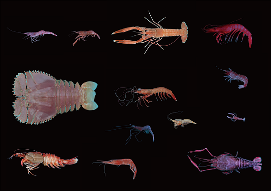 養老町観光協会のプレスリリース画像1