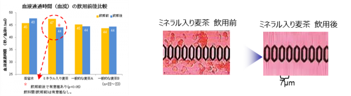 全国麦茶工業共同組合のプレスリリース画像7