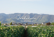 株式会社アクロプラスのプレスリリース画像1