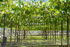 株式会社アクロプラスのプレスリリース画像1