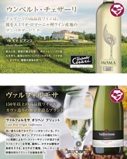 ピーロート・ジャパン株式会社のプレスリリース画像7