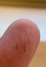 株式会社　T-CUBE　(ヘッドスパ専門店プーラ)のプレスリリース画像1