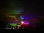 株式会社インフィオラータ・アソシエイツのプレスリリース画像2