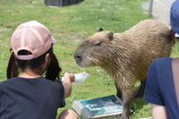 株式会社インフィオラータ・アソシエイツのプレスリリース画像5