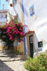 株式会社K&#39;sトレードのプレスリリース画像4