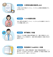 有限会社 Coo&amp;RIKUのプレスリリース画像1