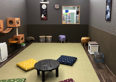 有限会社 Coo&amp;RIKUのプレスリリース画像2