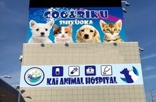 有限会社 Coo&amp;RIKUのプレスリリース画像5