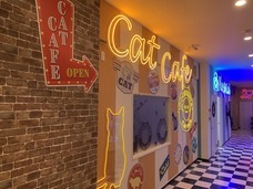 有限会社 Coo&amp;RIKUのプレスリリース画像4