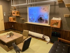 有限会社 Coo&amp;RIKUのプレスリリース画像8