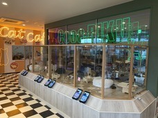 有限会社 Coo&amp;RIKUのプレスリリース画像5