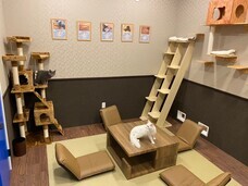 有限会社 Coo&amp;RIKUのプレスリリース画像3