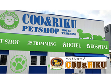 有限会社 Coo&amp;RIKUのプレスリリース画像2