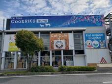 有限会社 Coo&amp;RIKUのプレスリリース画像1