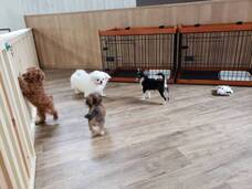 有限会社 Coo&amp;RIKUのプレスリリース画像7