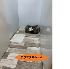 有限会社 Coo&amp;RIKUのプレスリリース画像6