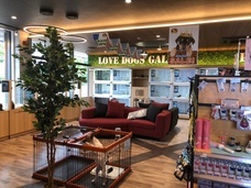 有限会社 Coo&amp;RIKUのプレスリリース画像2