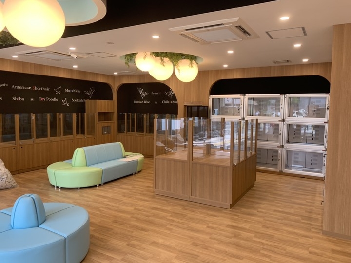 大阪府内8店舗目 7月18日 土 ペットショップcoo Riku阿倍野店 グランドオープン 有限会社 Coo Rikuのプレスリリース