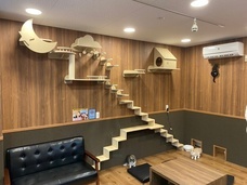 有限会社 Coo&amp;RIKUのプレスリリース画像1