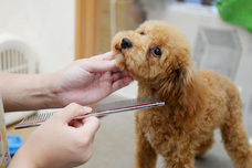 有限会社 Coo&amp;RIKUのプレスリリース画像5