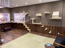 有限会社 Coo&amp;RIKUのプレスリリース画像8