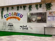 有限会社 Coo&amp;RIKUのプレスリリース画像1