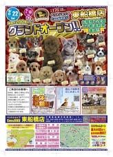 有限会社 Coo&amp;RIKUのプレスリリース画像9