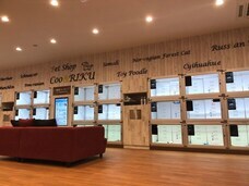 有限会社 Coo&amp;RIKUのプレスリリース画像1