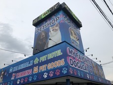 有限会社 Coo&amp;RIKUのプレスリリース画像4