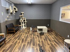 有限会社 Coo&amp;RIKUのプレスリリース画像3