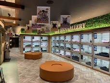 有限会社 Coo&amp;RIKUのプレスリリース画像2