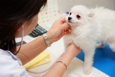 有限会社 Coo&amp;RIKUのプレスリリース画像4