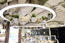 有限会社 Coo&amp;RIKUのプレスリリース画像4