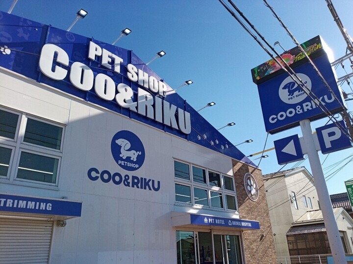 12月5日 土 に滋賀県下4店舗目 ペットショップcoo Riku長浜店 がグランドオープン クーリクは 居心地のいい雰囲気作りから最高の出会いを提供します 有限会社 Coo Rikuのプレスリリース 12月5日 土 に滋賀県下4店舗目 ペットショップcoo Riku長浜店 がグランドオープン クーリクは 居心地のいい雰囲気作りから最高の出会いを提供します 有限会社 Coo Rikuのプレスリリース