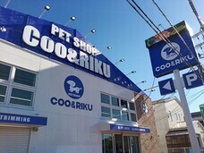 有限会社 Coo&amp;RIKUのプレスリリース画像1