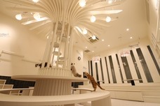 有限会社 Coo&amp;RIKUのプレスリリース画像2