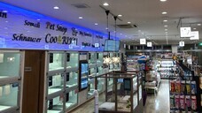 有限会社 Coo&amp;RIKUのプレスリリース画像1