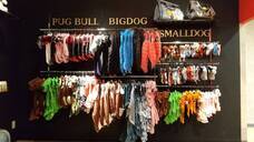 有限会社 Coo&amp;RIKUのプレスリリース画像3