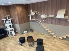 有限会社 Coo&amp;RIKUのプレスリリース画像1