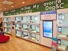 有限会社 Coo&amp;RIKUのプレスリリース画像2