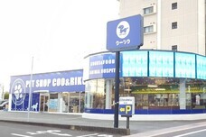 有限会社 Coo&amp;RIKUのプレスリリース画像3